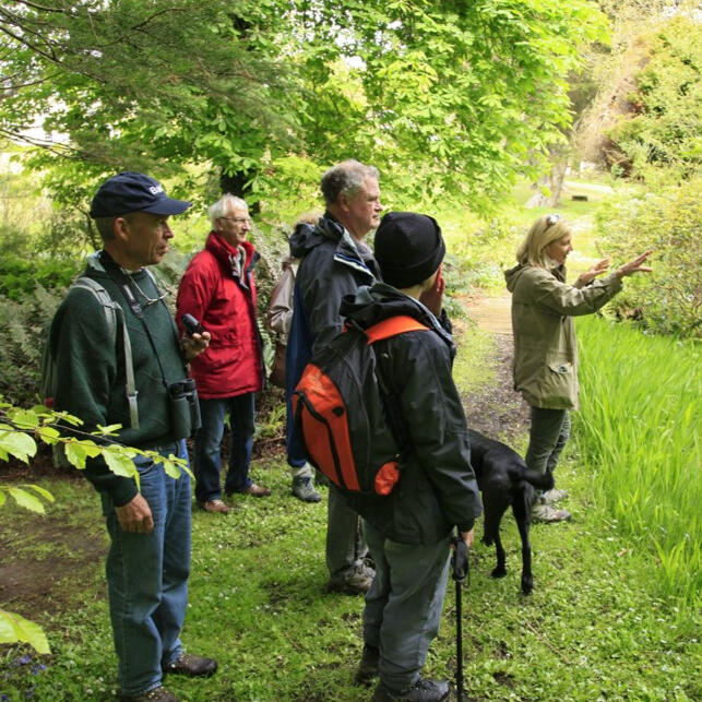 Guided walks